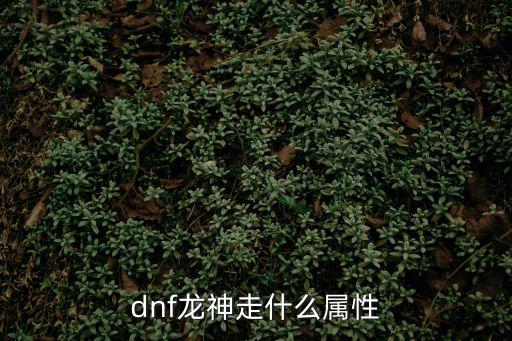 dnf龙神走什么属性