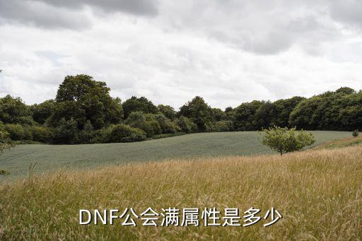 DNF公会满属性是多少