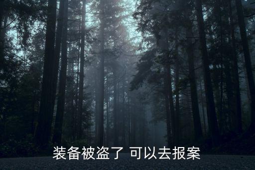 装备被盗了 可以去报案