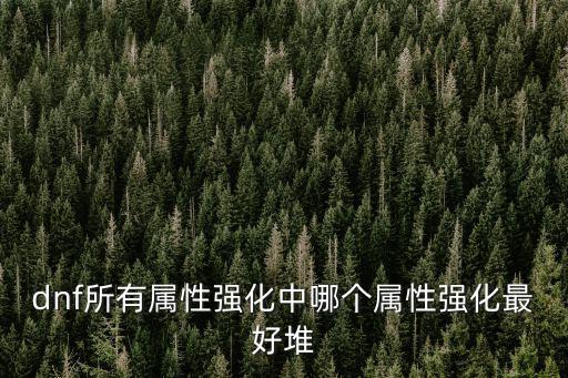 dnf所有属性强化中哪个属性强化最好堆