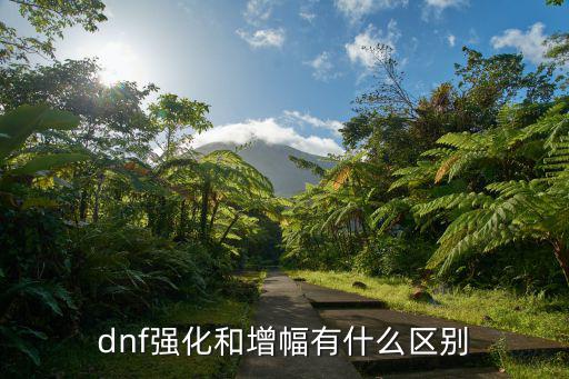 dnf强化和增幅有什么区别