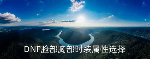 DNF脸部胸部时装属性选择