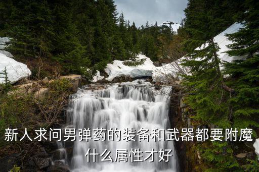 新人求问男弹药的装备和武器都要附魔什么属性才好