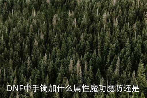 DNF中手镯加什么属性魔功魔防还是