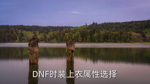 DNF时装上衣属性选择