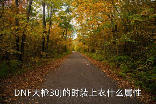 DNF大枪30J的时装上衣什么属性