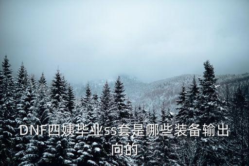 DNF四姨毕业ss套是哪些装备输出向的