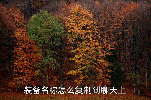 装备名称怎么复制到聊天上