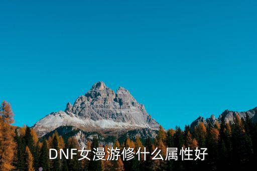DNF女漫游修什么属性好