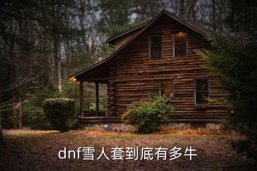 dnf雪人装扮什么属性，dnf雪人套2022有属性吗