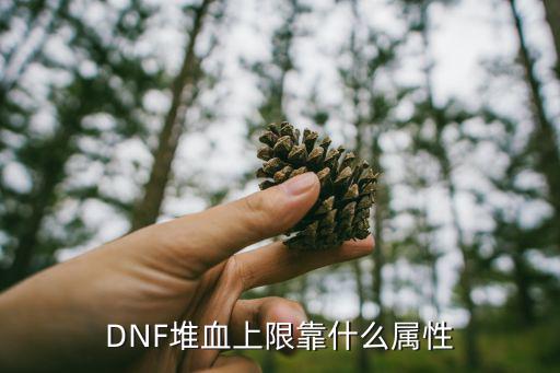 DNF堆血上限靠什么属性