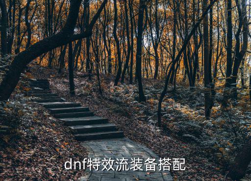 dnf特效流装备搭配