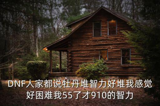 DNF人家都说牡丹堆智力好堆我感觉好困难我55了才910的智力