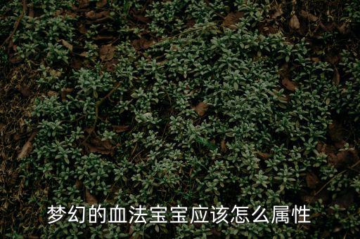 dnf血法对什么属性，梦幻的血法宝宝应该怎么属性