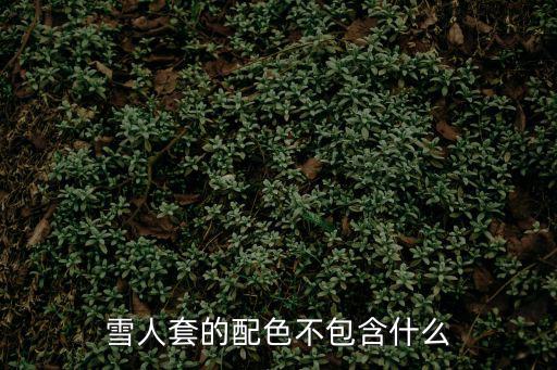 雪人套的配色不包含什么