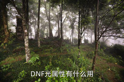 dnf兽人光环有什么属性，DNF光属性有什么用