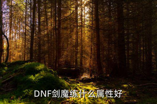 DNF剑魔练什么属性好