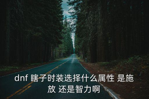dnf瞎子皮肤选什么属性，dnf 瞎子时装选择什么属性 是施放 还是智力啊