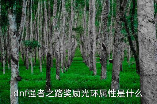 dnf冠军光环什么属性，dnf2015年春节礼包光环什么属性