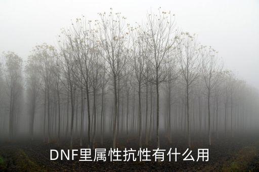 DNF里属性抗性有什么用