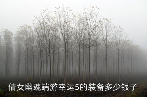 倩女幽魂端游幸运5的装备多少银子