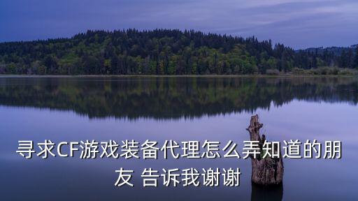 寻求CF游戏装备代理怎么弄知道的朋友 告诉我谢谢