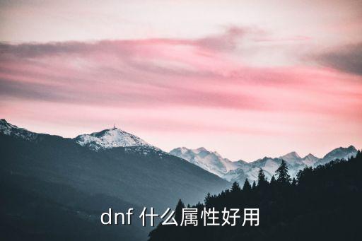 dnf 什么属性好用