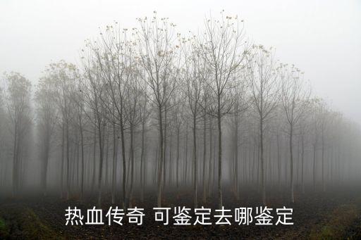 热血传奇 可鉴定去哪鉴定