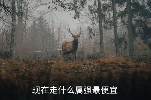 现在走什么属强最便宜