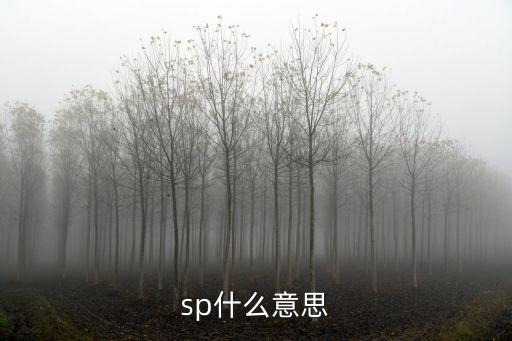 sp什么意思
