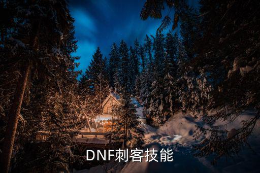dnf刺客技能是什么属性，dnf刺客都需要什么属性