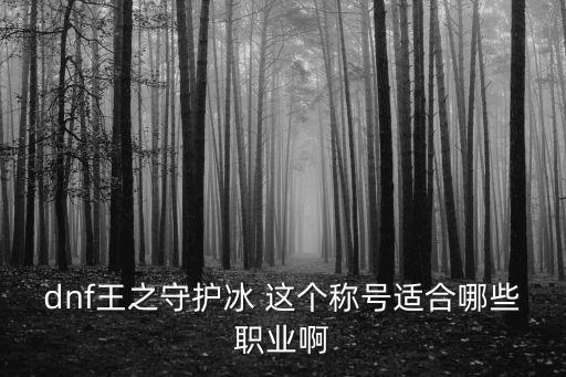 dnf冰属性带什么称号，dnf冰属性强化28称号是什么名字