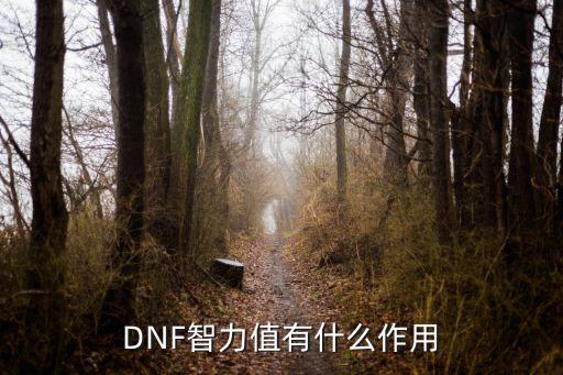 DNF智力属性是什么，DNF智力有什么用
