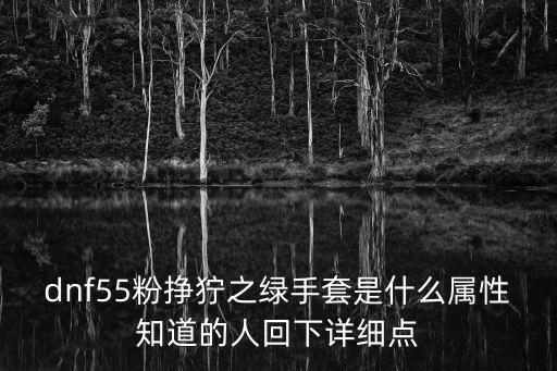 dnf55粉挣狞之绿手套是什么属性知道的人回下详细点