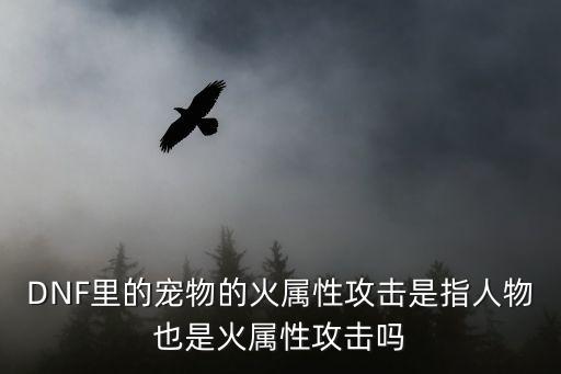 DNF里的宠物的火属性攻击是指人物也是火属性攻击吗