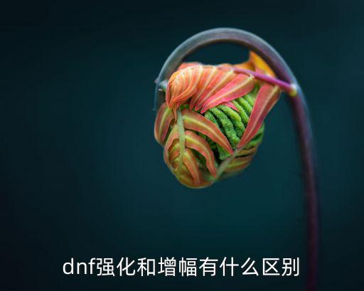 dnf振幅属性有什么，dnf武器增幅13什么属性