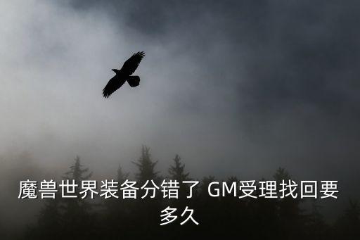 魔兽世界装备分错了 GM受理找回要多久