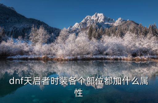 dnf天启者时装各个部位都加什么属性