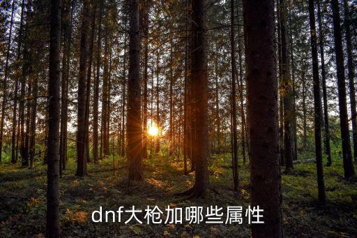 dnf大枪加哪些属性