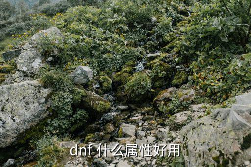 dnf 什么属性好用