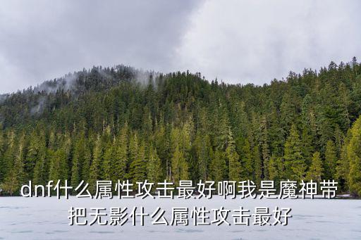 dnf什么属性攻击最好啊我是魔神带把无影什么属性攻击最好