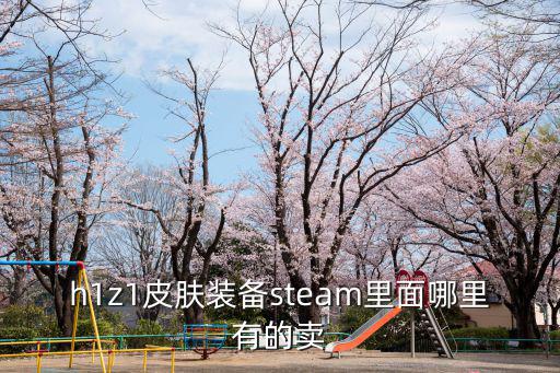 h1z1皮肤装备steam里面哪里有的卖