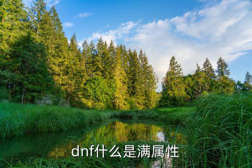 dnf什么是满属性