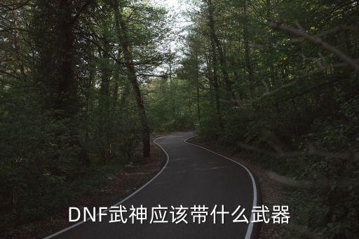 dnf武神带什么属性武器，dnf武神带什么武器好要强到多少