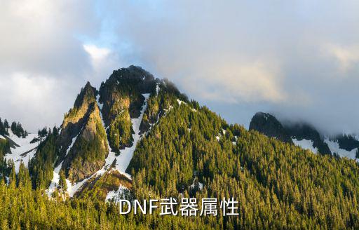 dnf枪剑士什么武器属性，DNF武器属性