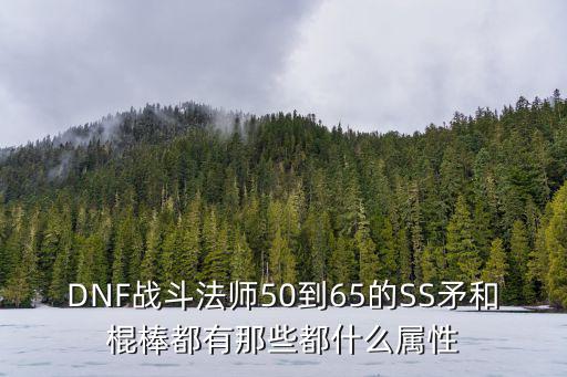 DNF战斗法师50到65的SS矛和棍棒都有那些都什么属性
