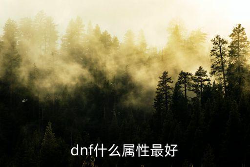 dnf现在版本什么属性好，DNF 下个版本 走什么属性好