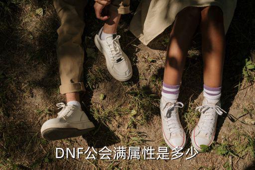 dnf公会战奖励什么属性，dnf公会属性