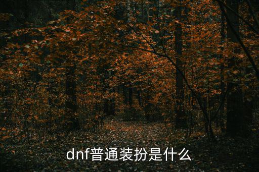 dnf普通装扮是什么