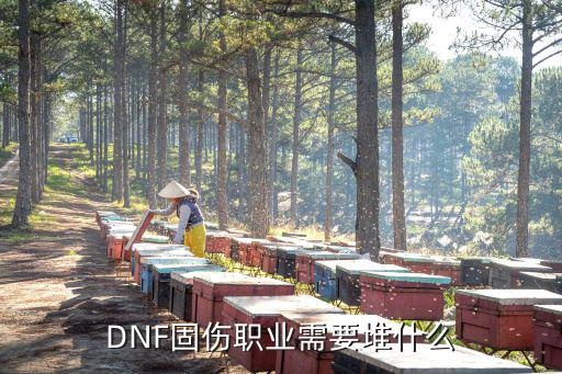 dnf固定伤害要什么属性，dnf中装备固定属性是指什么